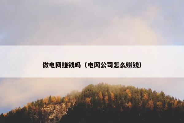 做电网赚钱吗（电网公司怎么赚钱）