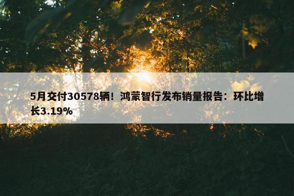 5月交付30578辆！鸿蒙智行发布销量报告：环比增长3.19%