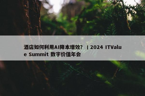 酒店如何利用AI降本增效？丨2024 ITValue Summit 数字价值年会